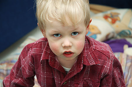 20040320_DSC_0137