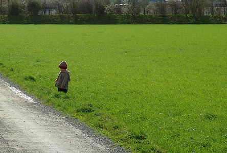 20040321_DSC_0305