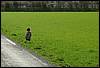 20040321_DSC_0305.jpg